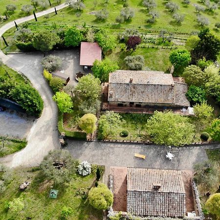 Agriturismo Panorama Sul Lago Пассиньяно-суль-Тразимено Экстерьер фото