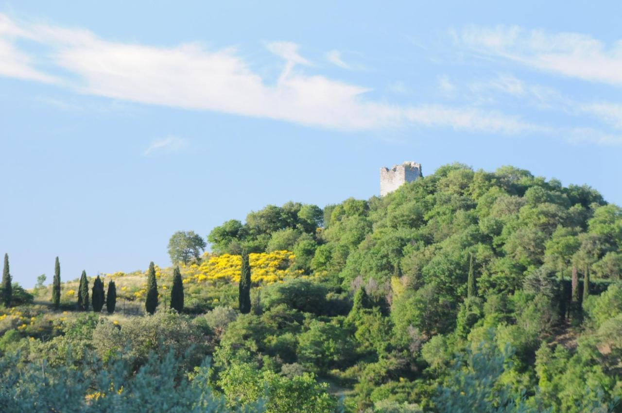 Agriturismo Panorama Sul Lago Пассиньяно-суль-Тразимено Экстерьер фото