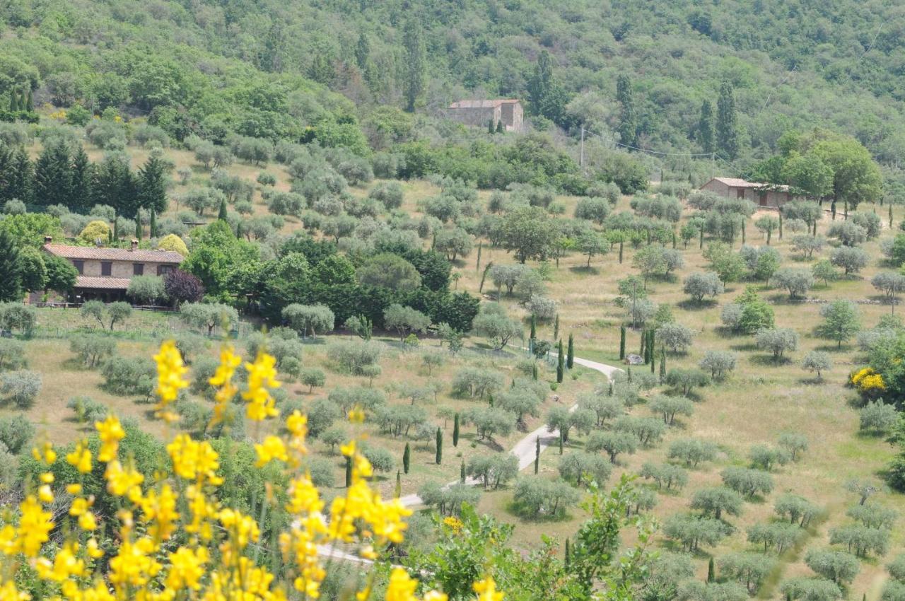 Agriturismo Panorama Sul Lago Пассиньяно-суль-Тразимено Экстерьер фото