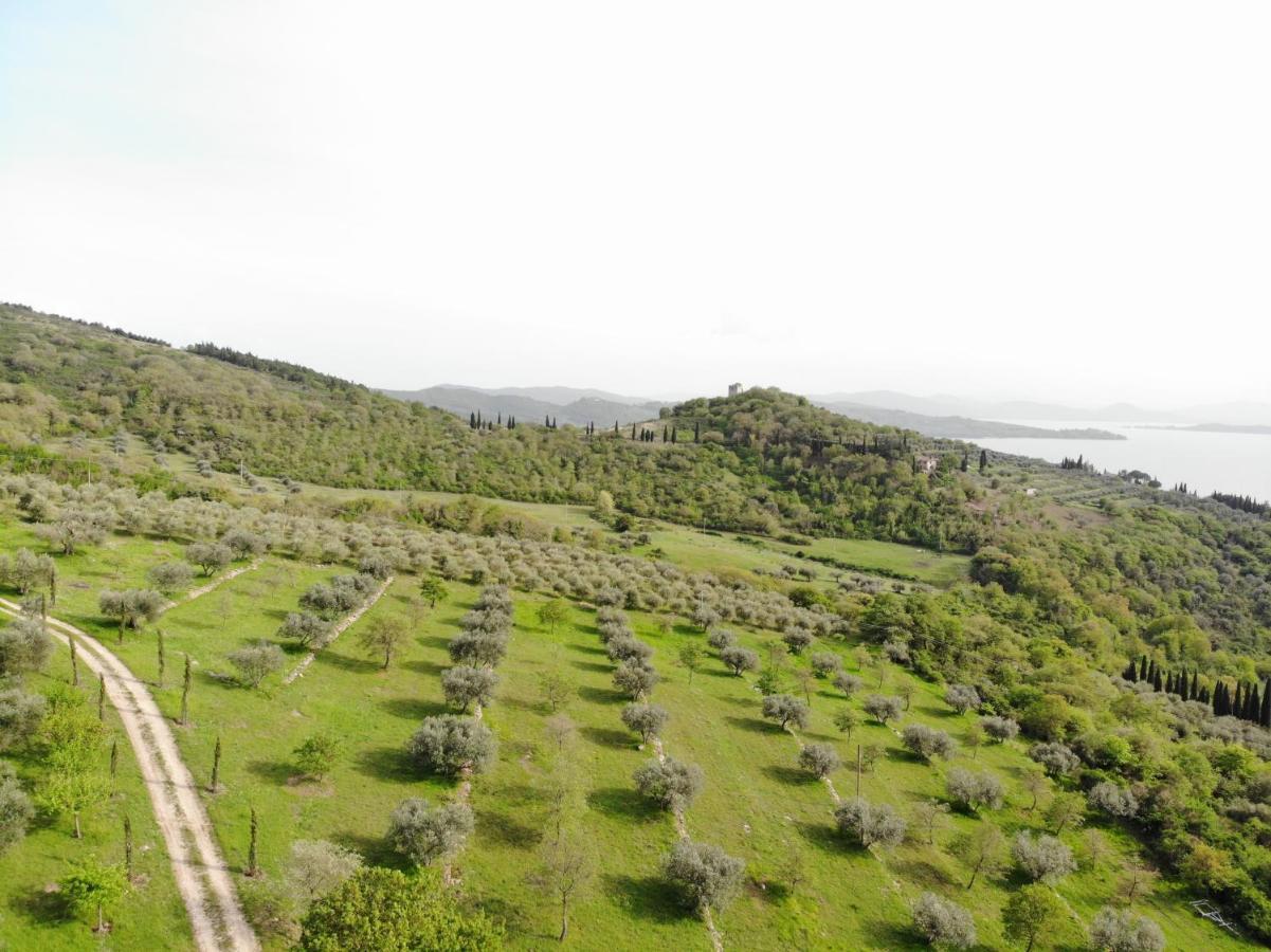 Agriturismo Panorama Sul Lago Пассиньяно-суль-Тразимено Экстерьер фото