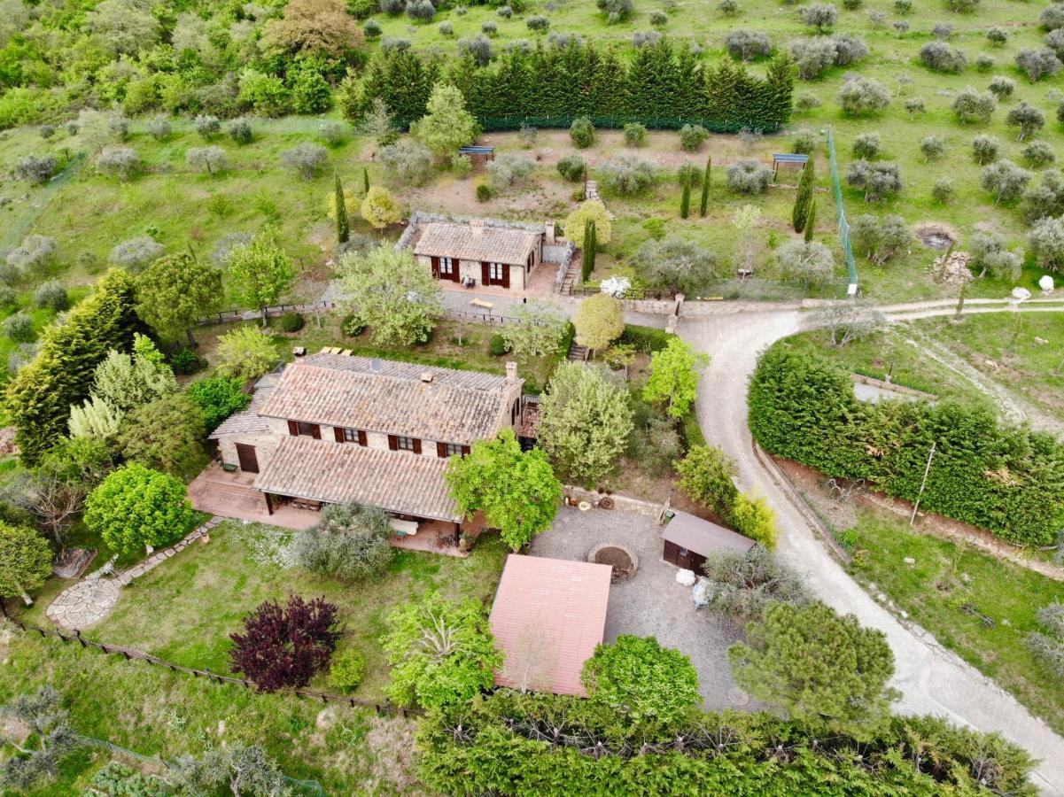 Agriturismo Panorama Sul Lago Пассиньяно-суль-Тразимено Экстерьер фото